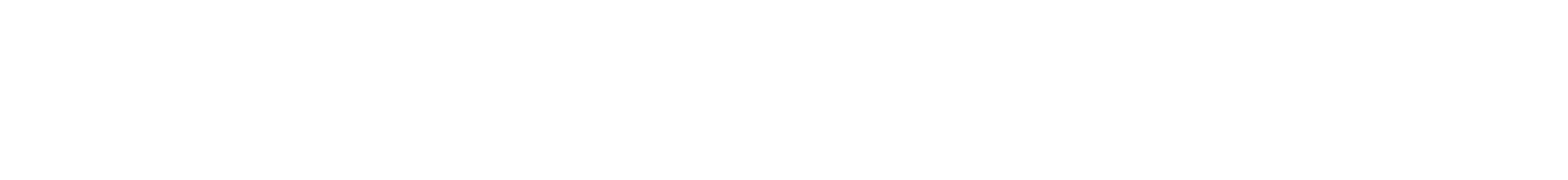 Digital Search Partners